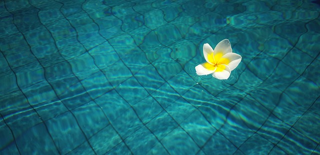 Čistý bazén se květem.jpg