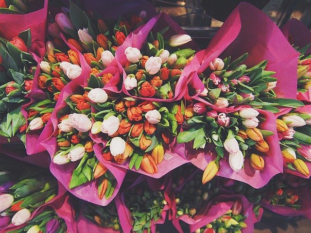 kytice tulipánů na prodej